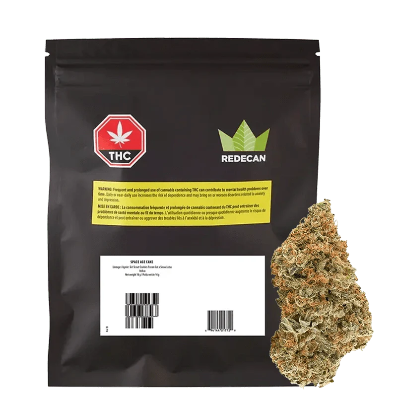 Space Age Cake By Redecan