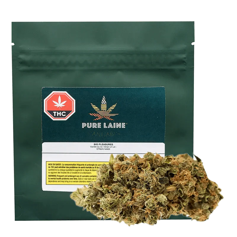 Big Pleasures By Pure Laine Cannabis-3.3% Terps