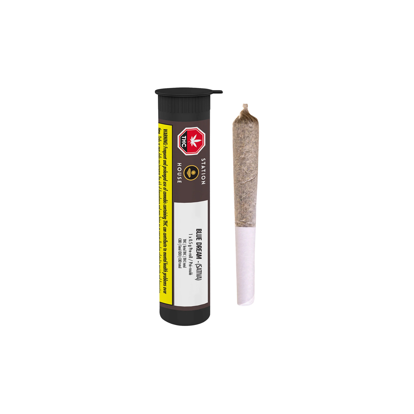 Blue Dream By Station House