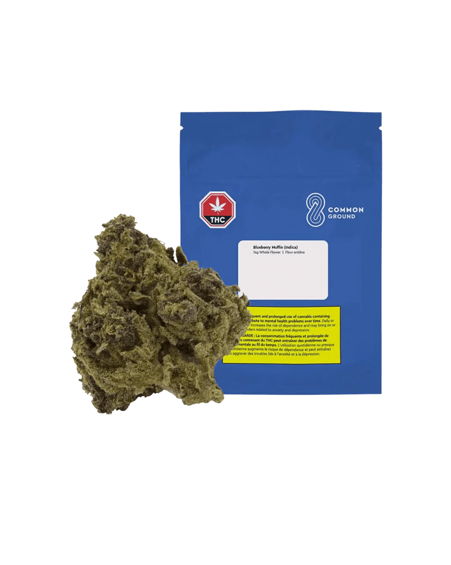 Blueberry Cupcake By Common Grounds