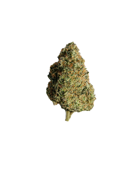 Neon Lambo By Pure Sunfarms-4.55% TERPS
