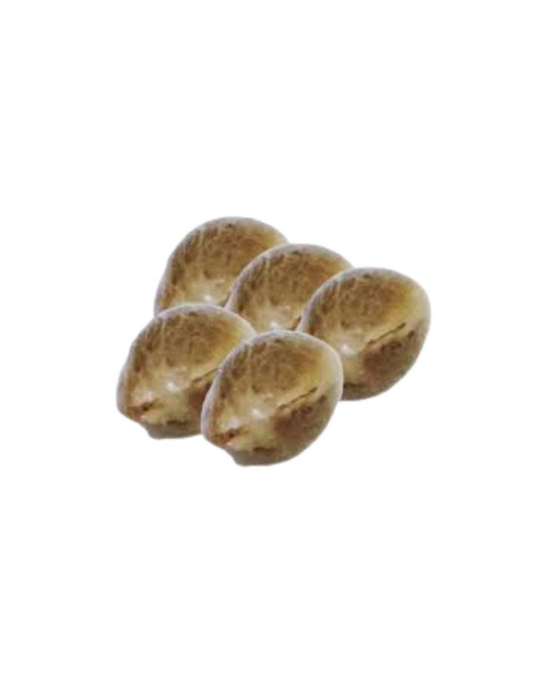 Frost Blue Cherry Pie Seeds - 5 Pack HomeGrow with Freedom (I)