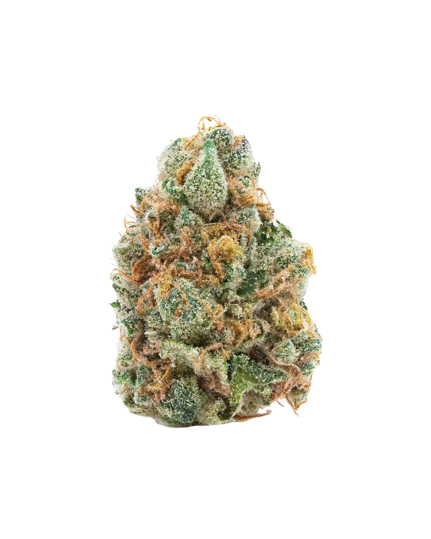 GMO Cookies by Spinach-3.7%TERPS