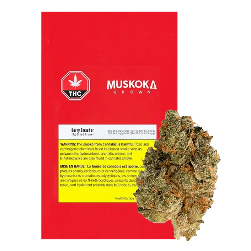 Grown Berry Smasher By Muskoa Grown