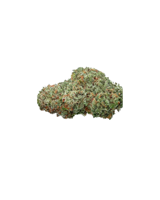 Midnight Kruntz By November Rain