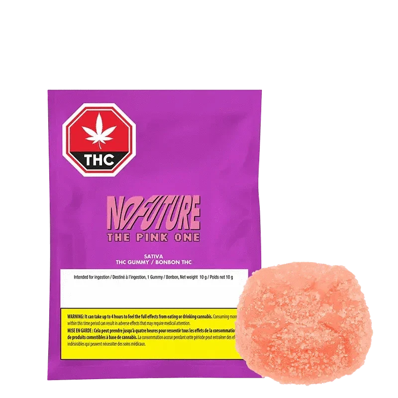 The Pink One By No Future(S)