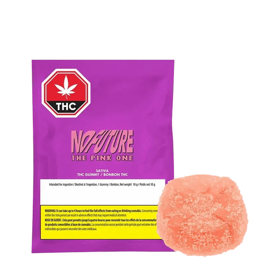 The Pink One By No Future(S)