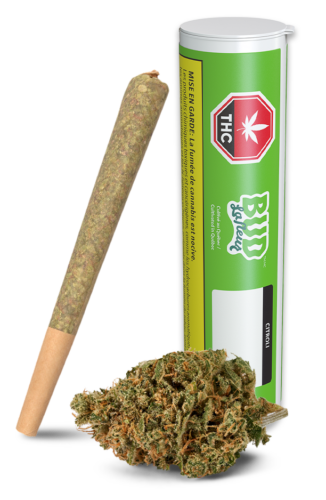 Poison Kush By BUD LAFLEUR