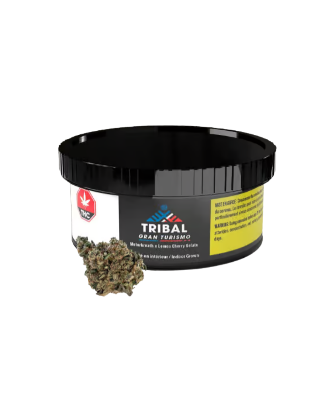 GT By Tribal
