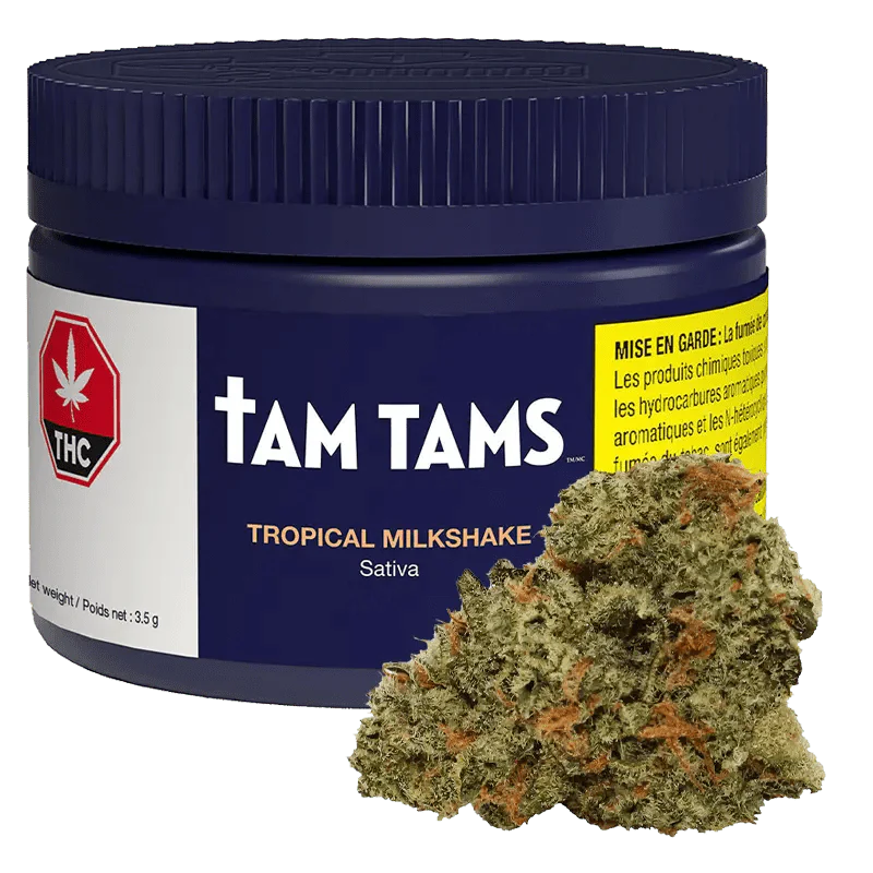 Tropical Milkshake By Tam Tams