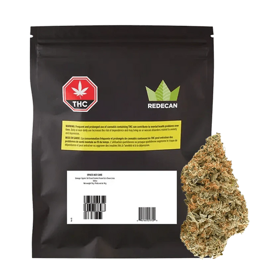 Space Age Cake By Redecan