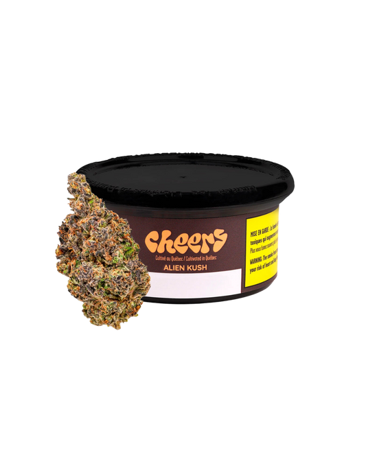 Alien Kush By Cheers Cannabis