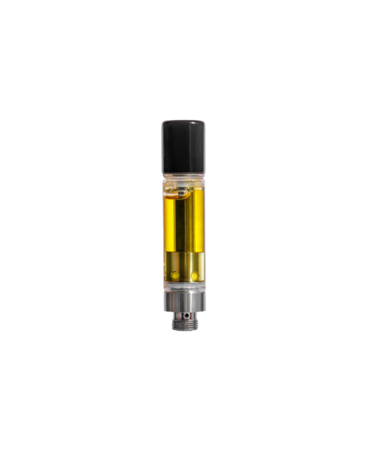 Arctic Purple Apricot Live Liquid Diamond By VERO (I)