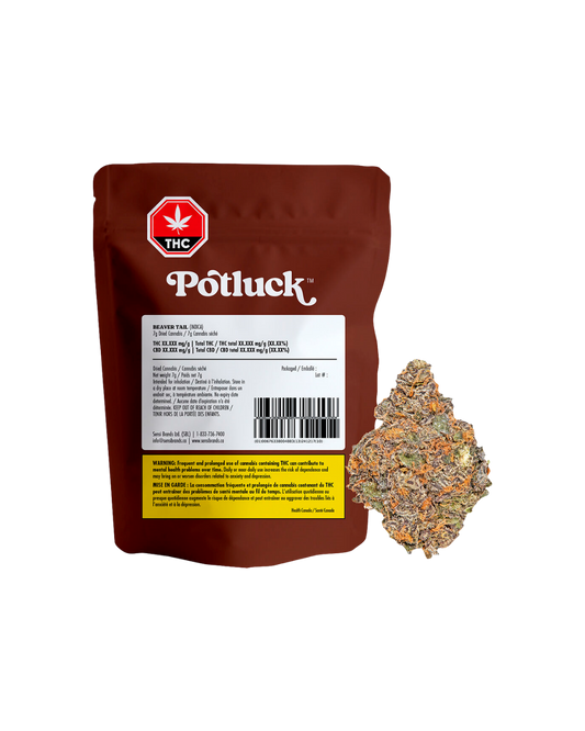 Beaver Tail By Potluck