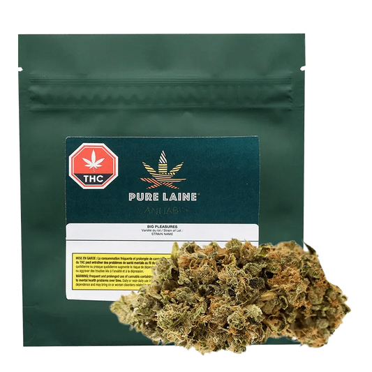 Big Pleasures By Pure Laine Cannabis-3.3% Terps