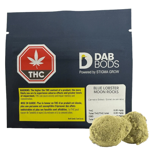 Blue Lobster Moon Rocks By Dab Bods (H)