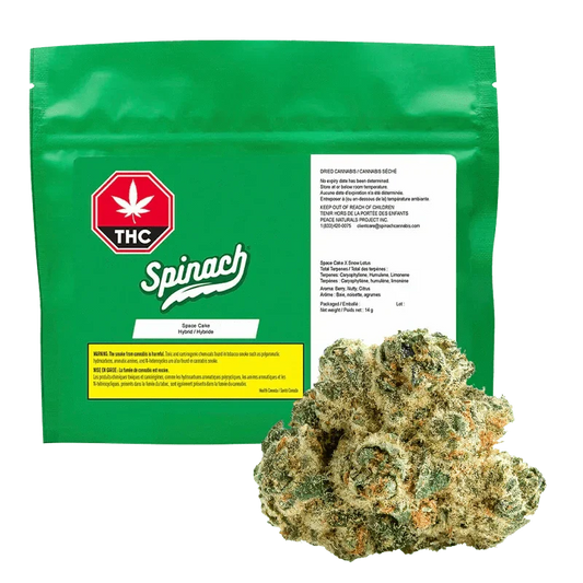 Space Cake By Spinach