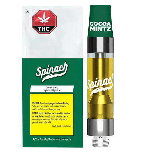 Cocoa Mintz By Spinach (H)