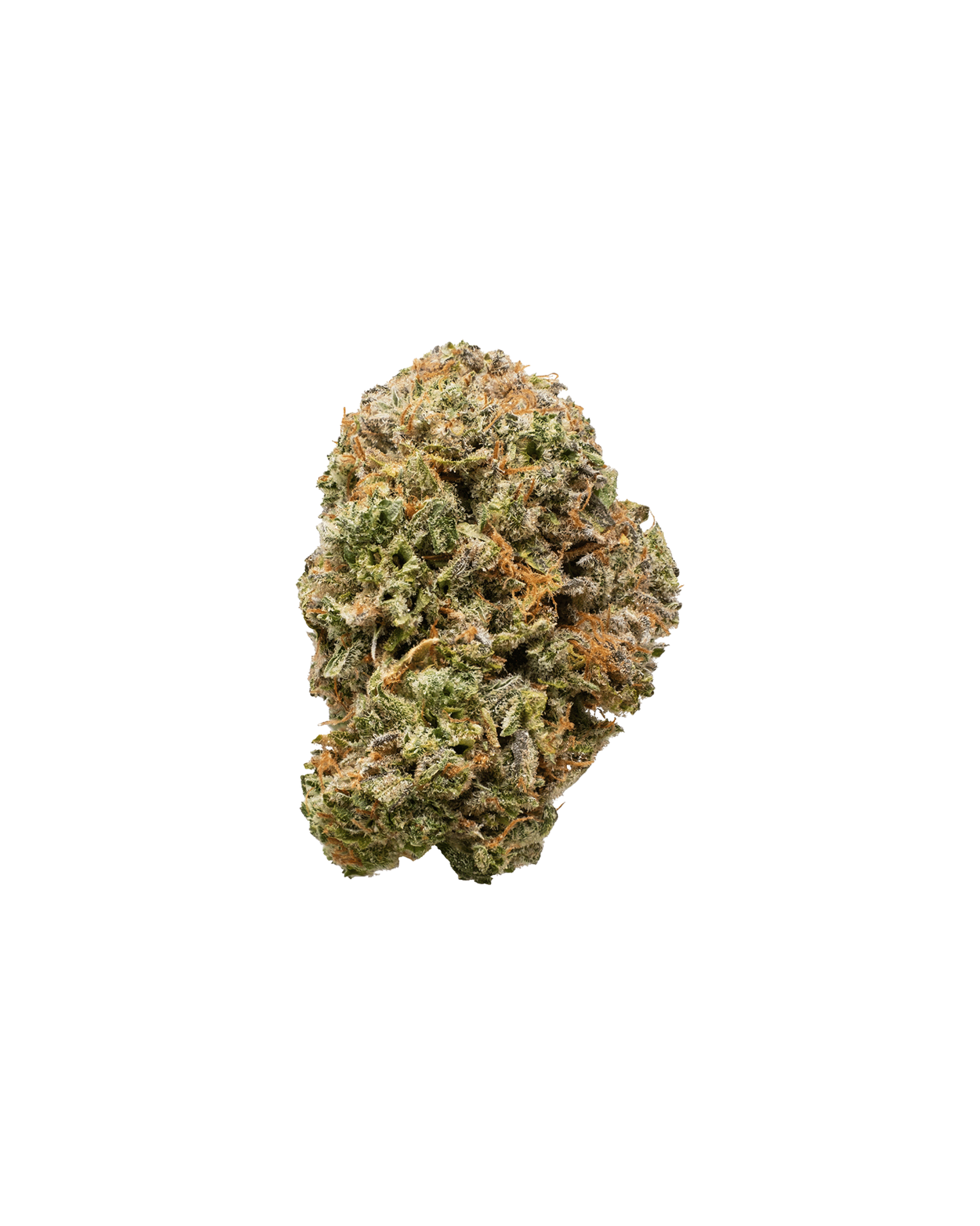 Fossil Fuel By Battle River Bud