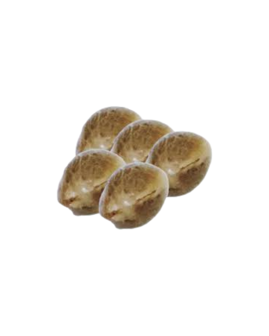 Frost Blue Cherry Pie Seeds - 5 Pack HomeGrow with Freedom (I)