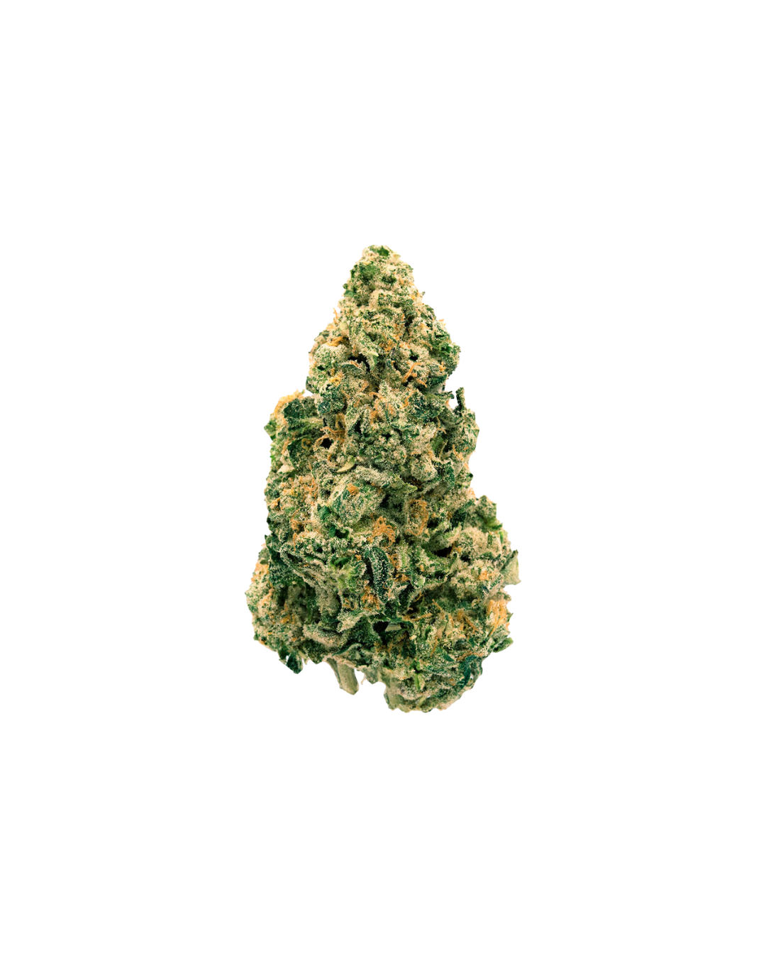 Galactic Jack By Back Forty