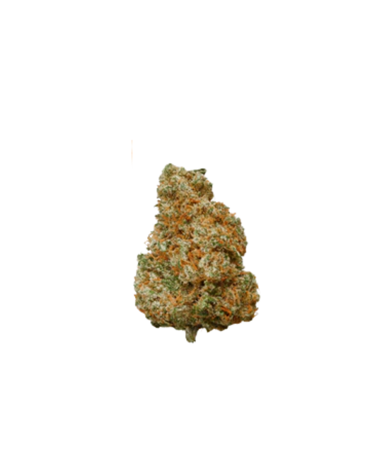 GastroPop By Castle Rock Farms Inc. 28g