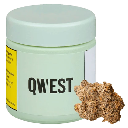 Grape Cream Cake By Qwest
