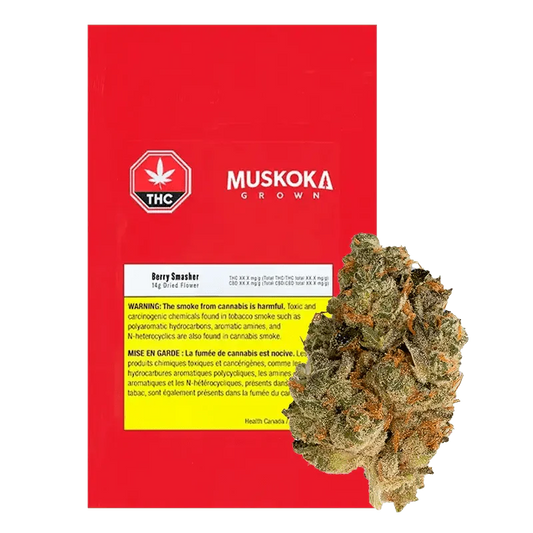 Grown Berry Smasher By Muskoa Grown