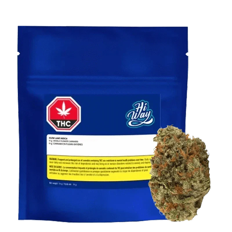 Slow Lane Indica By Hiway