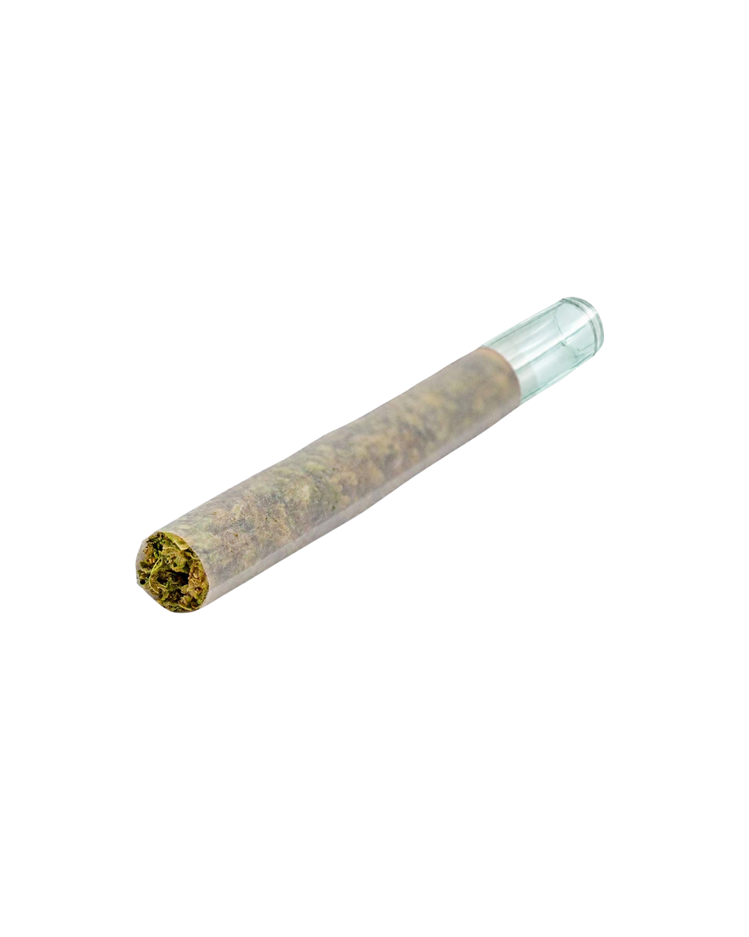 Magik Dragon Glass Tip By Puffer's Paradise