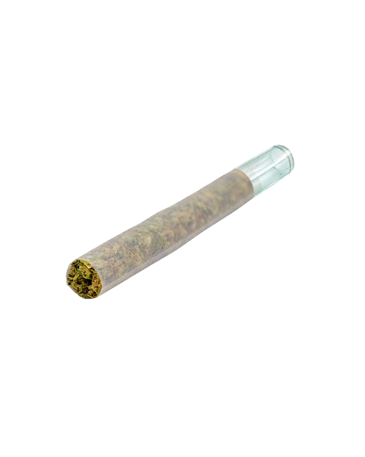 Magik Dragon Glass Tip By Puffer's Paradise