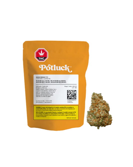 Mango Dream By Potluck