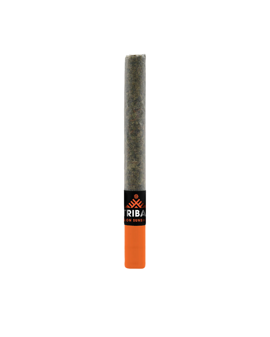 Neon Sunshine Ceramic Tip By Tribal
