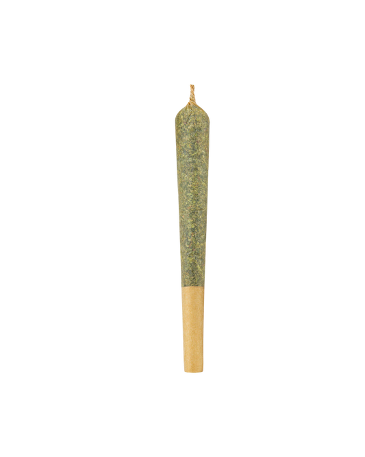 Ripped Sativa