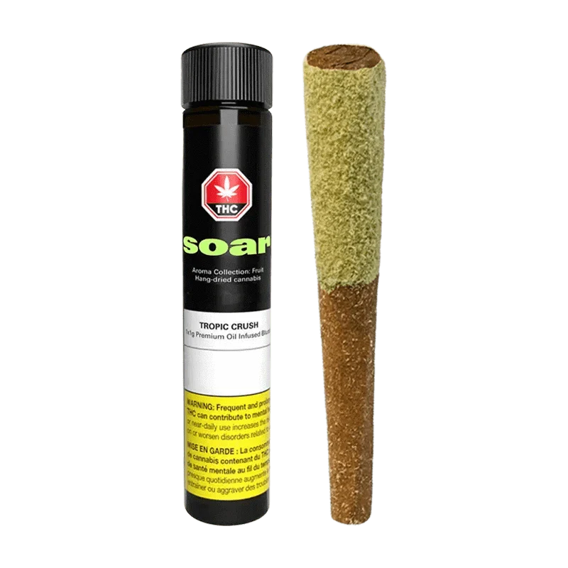 Tropic Crush Oil Infused and Kief Coadted Blunt By Soar
