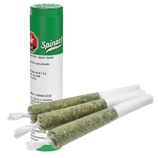 Frosted Cream Puffs By Spinach