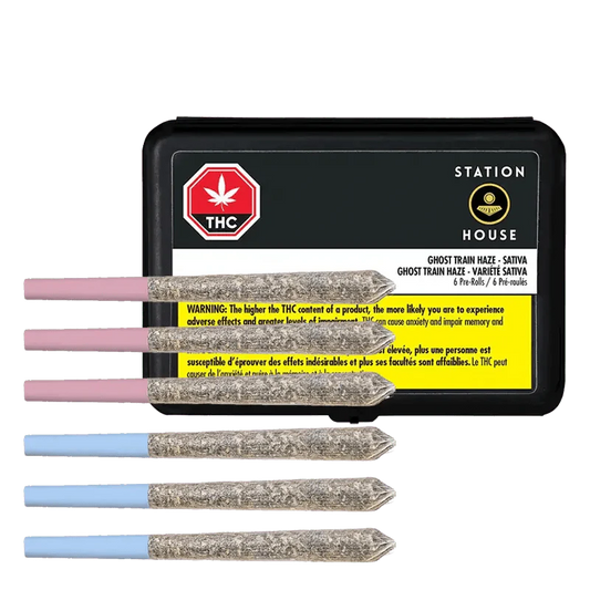 Variety 6-Pack By Station House