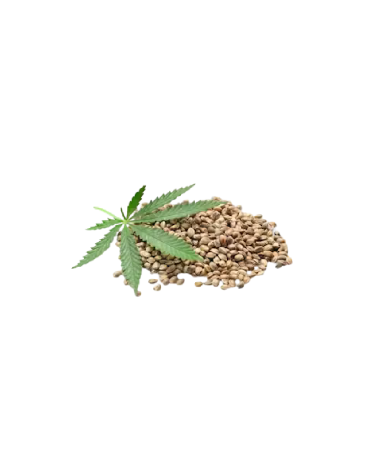 Homegrown 3 Variety Pack -V, Thai & FCxCP (Feminized) (Hybrid)