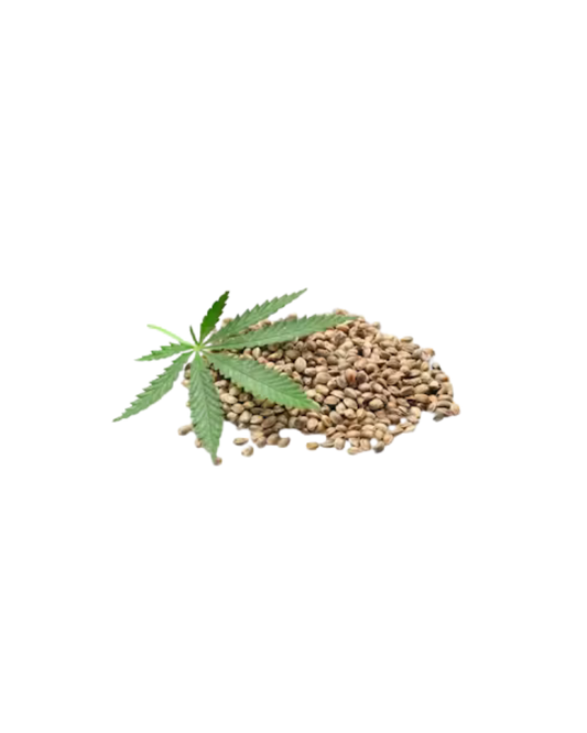 Homegrown 3 Variety Pack -V, Thai & FCxCP (Feminized) (Hybrid)